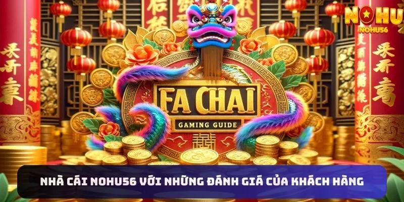 Tổng hợp đánh giá mới nhất từ người tham gia Nohu56